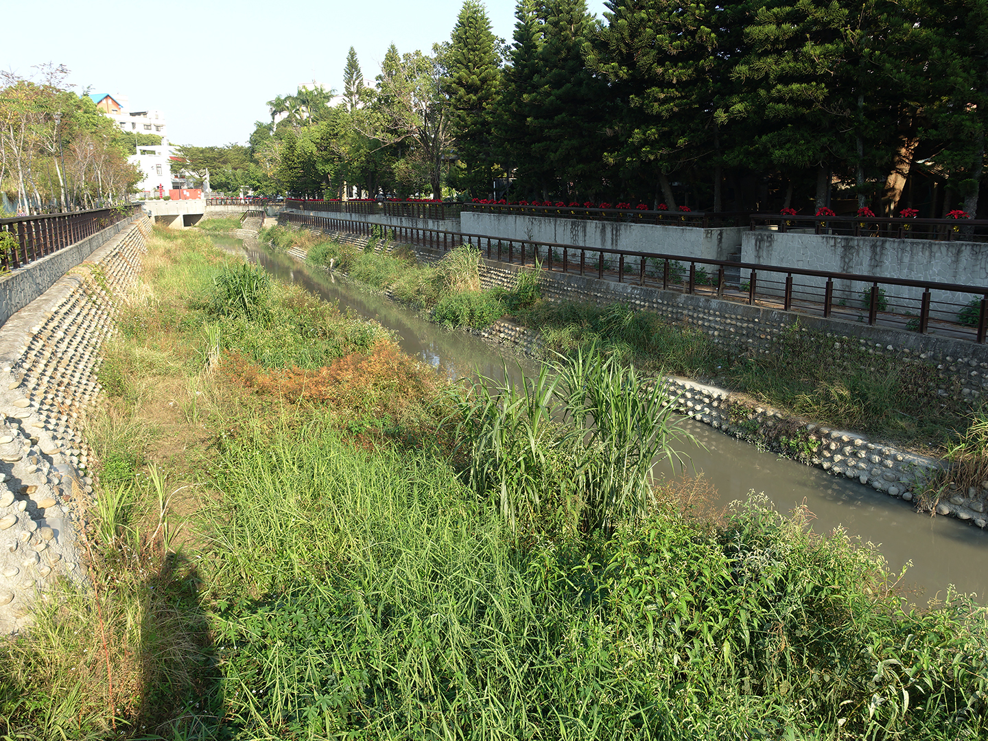 張妙祝──雲林溪掀蓋的推手
